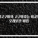 생고구마와 고구마효능 비교와 오래보관 비법