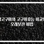 생고구마와 고구마효능 비교와 오래보관 비법