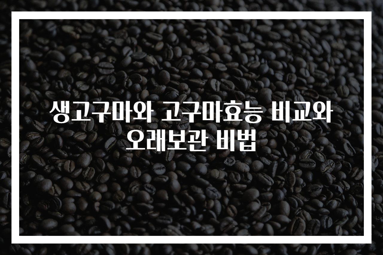 생고구마와 고구마효능 비교와 오래보관 비법