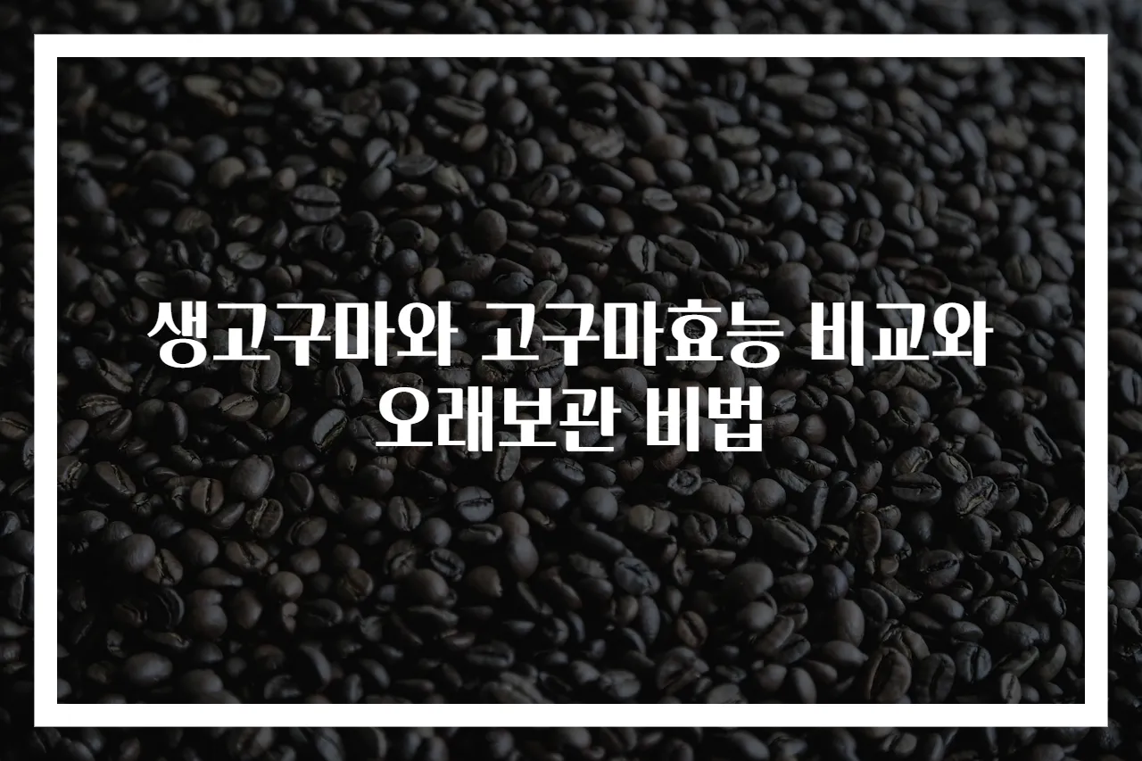 생고구마와 고구마효능 비교와 오래보관 비법