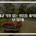 세균 걱정 없는 얼음틀 세척법 단 3단계