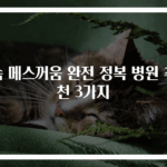 속 메스꺼움 완전 정복 병원 추천 3가지