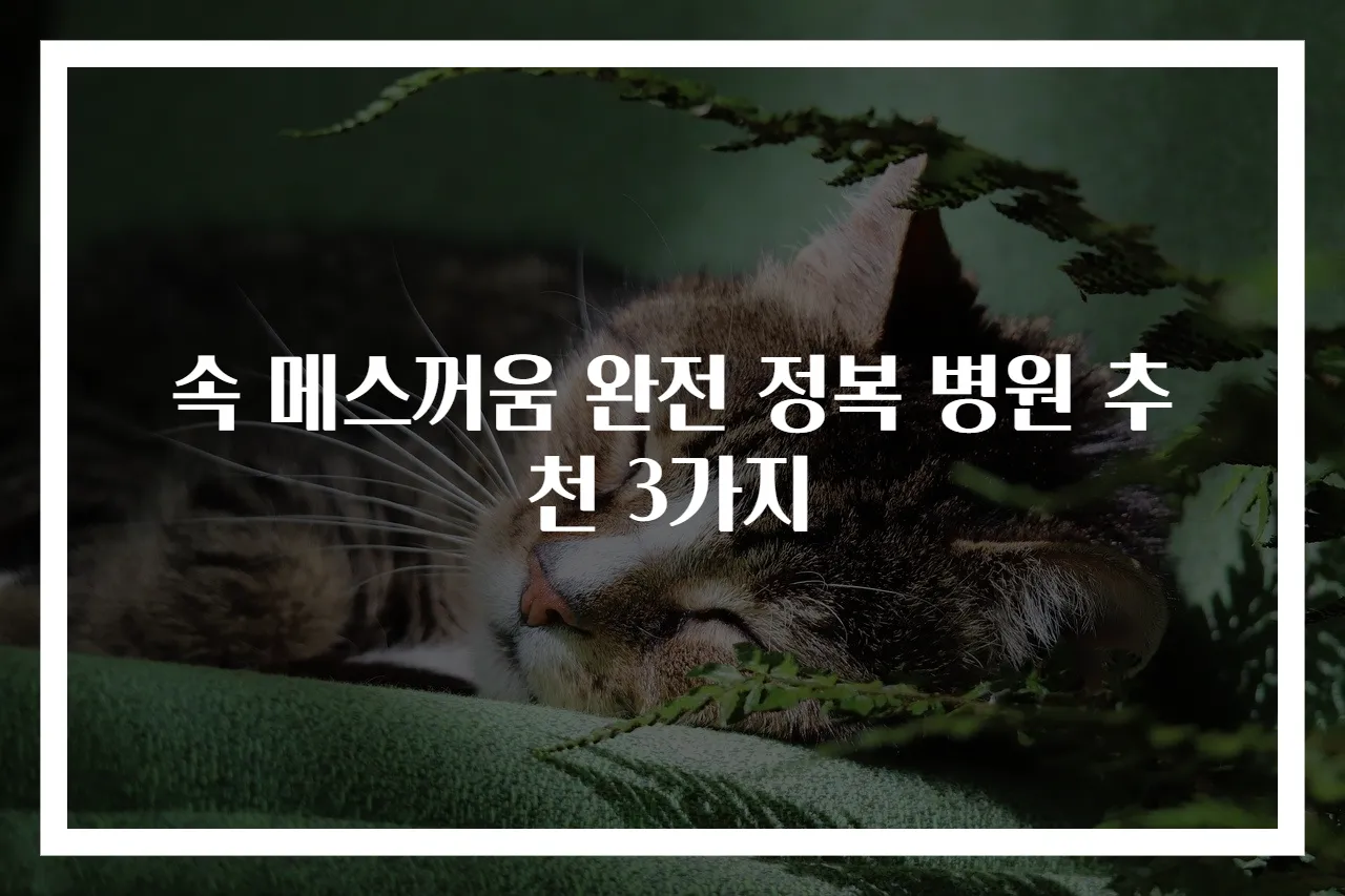 속 메스꺼움 완전 정복 병원 추천 3가지