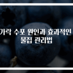 손가락 수포 원인과 효과적인 손물집 관리법