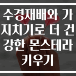 수경재배와 가지치기로 더 건강한 몬스테라 키우기