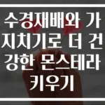 수경재배와 가지치기로 더 건강한 몬스테라 키우기