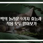수박의 놀라운 9가지 효능과 부작용 모두 알아보기