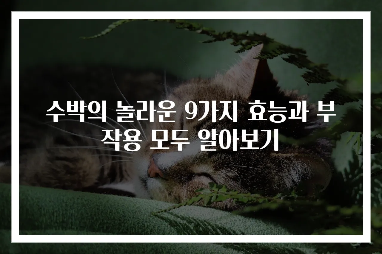 수박의 놀라운 9가지 효능과 부작용 모두 알아보기