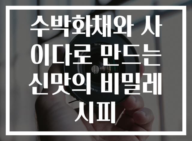 수박화채와 사이다로 만드는 신맛의 비밀레시피