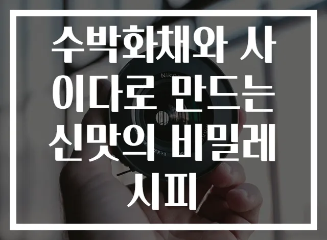 수박화채와 사이다로 만드는 신맛의 비밀레시피