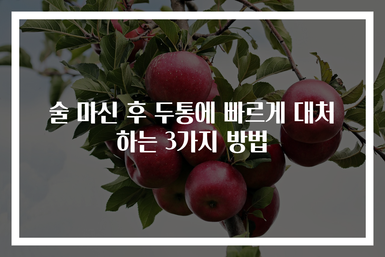 술 마신 후 두통에 빠르게 대처하는 3가지 방법