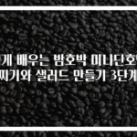 쉽게 배우는 밤호박 미니단호박 찌기와 샐러드 만들기 3단계