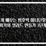 쉽게 배우는 밤호박 미니단호박 찌기와 샐러드 만들기 3단계