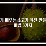 쉽게 배우는 소고기 육전 만들기 비법 3가지