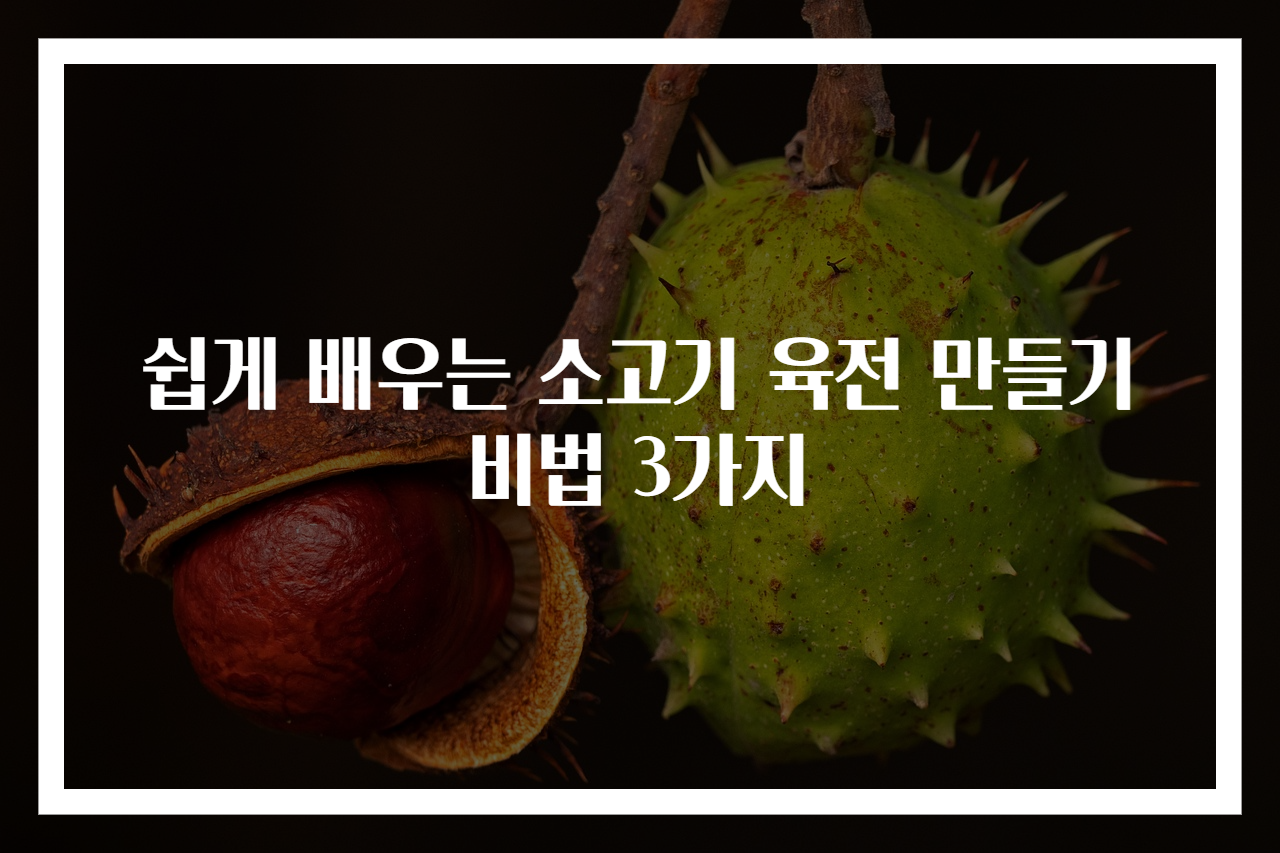 쉽게 배우는 소고기 육전 만들기 비법 3가지
