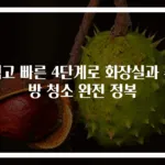 쉽고 빠른 4단계로 화장실과 주방 청소 완전 정복