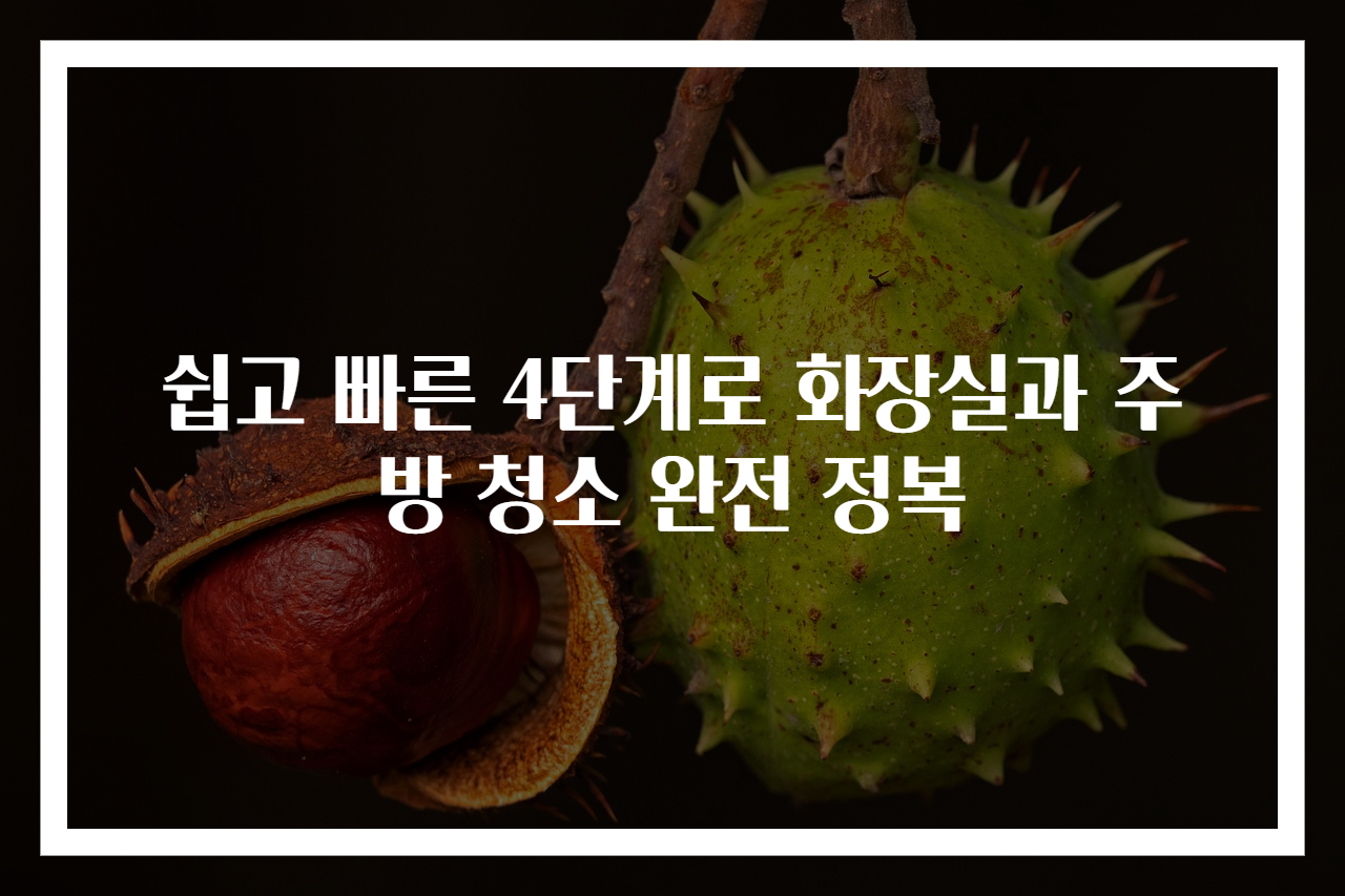 쉽고 빠른 4단계로 화장실과 주방 청소 완전 정복