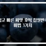 쉽고 빠른 씨앗 호떡 찹쌀반죽 비법 3가지