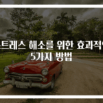스트레스 해소를 위한 효과적인 5가지 방법