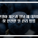 신생아 체온과 열날 때 대처법 및 안전한 열 관리 방법