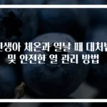 신생아 체온과 열날 때 대처법 및 안전한 열 관리 방법