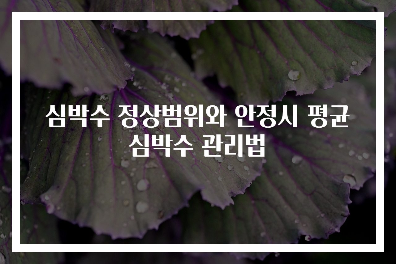 심박수 정상범위와 안정시 평균심박수 관리법