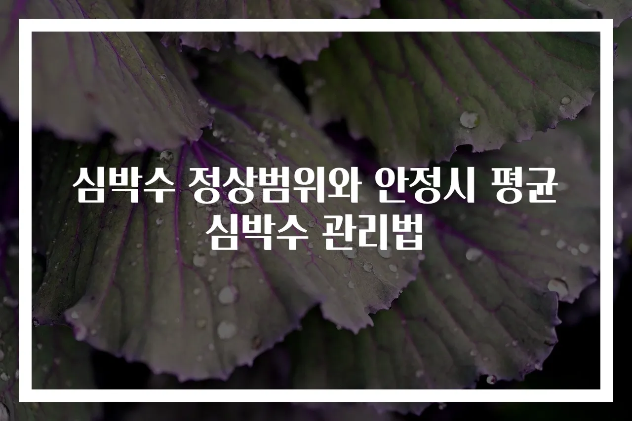 심박수 정상범위와 안정시 평균심박수 관리법
