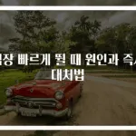 심장 빠르게 뛸 때 원인과 즉시 대처법
