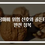 심장마비 위험 신호와 골든타임 완전 정복