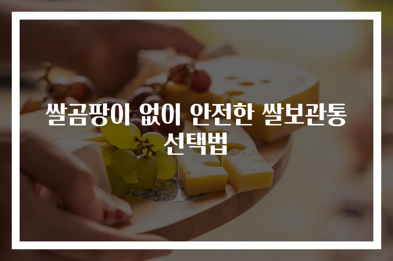 쌀곰팡이 없이 안전한 쌀보관통 선택법