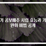아기 곰보배추 시럽 효능과 기침 완화 비법 공개