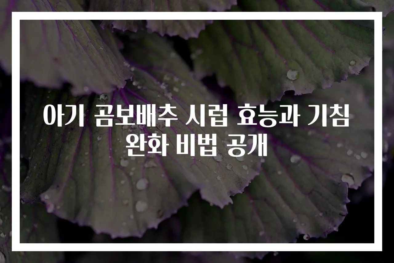 아기 곰보배추 시럽 효능과 기침 완화 비법 공개