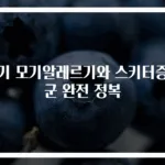 아기 모기알레르기와 스키터증후군 완전 정복