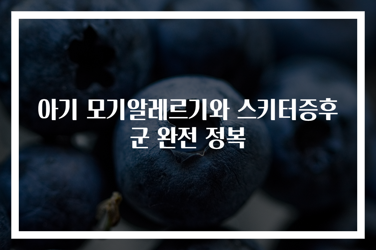 아기 모기알레르기와 스키터증후군 완전 정복