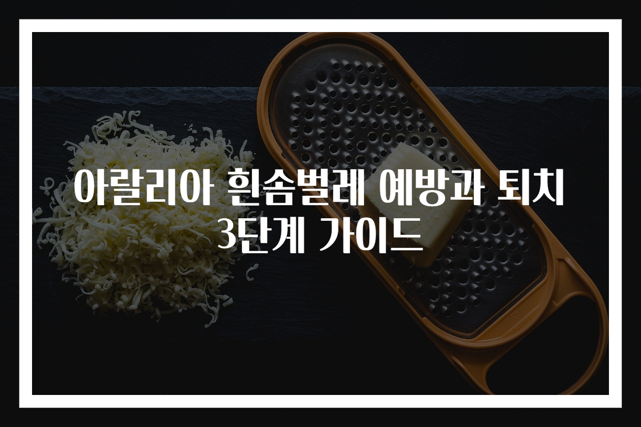 아랄리아 흰솜벌레 예방과 퇴치 3단계 가이드