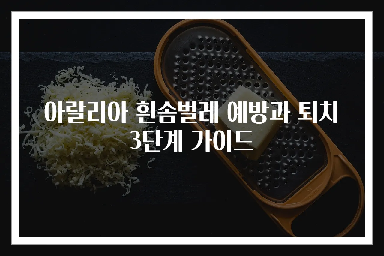아랄리아 흰솜벌레 예방과 퇴치 3단계 가이드