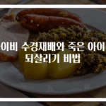 아이비 수경재배와 죽은 아이비 되살리기 비법