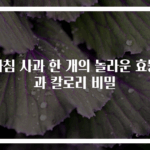 아침 사과 한 개의 놀라운 효능과 칼로리 비밀