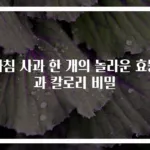 아침 사과 한 개의 놀라운 효능과 칼로리 비밀