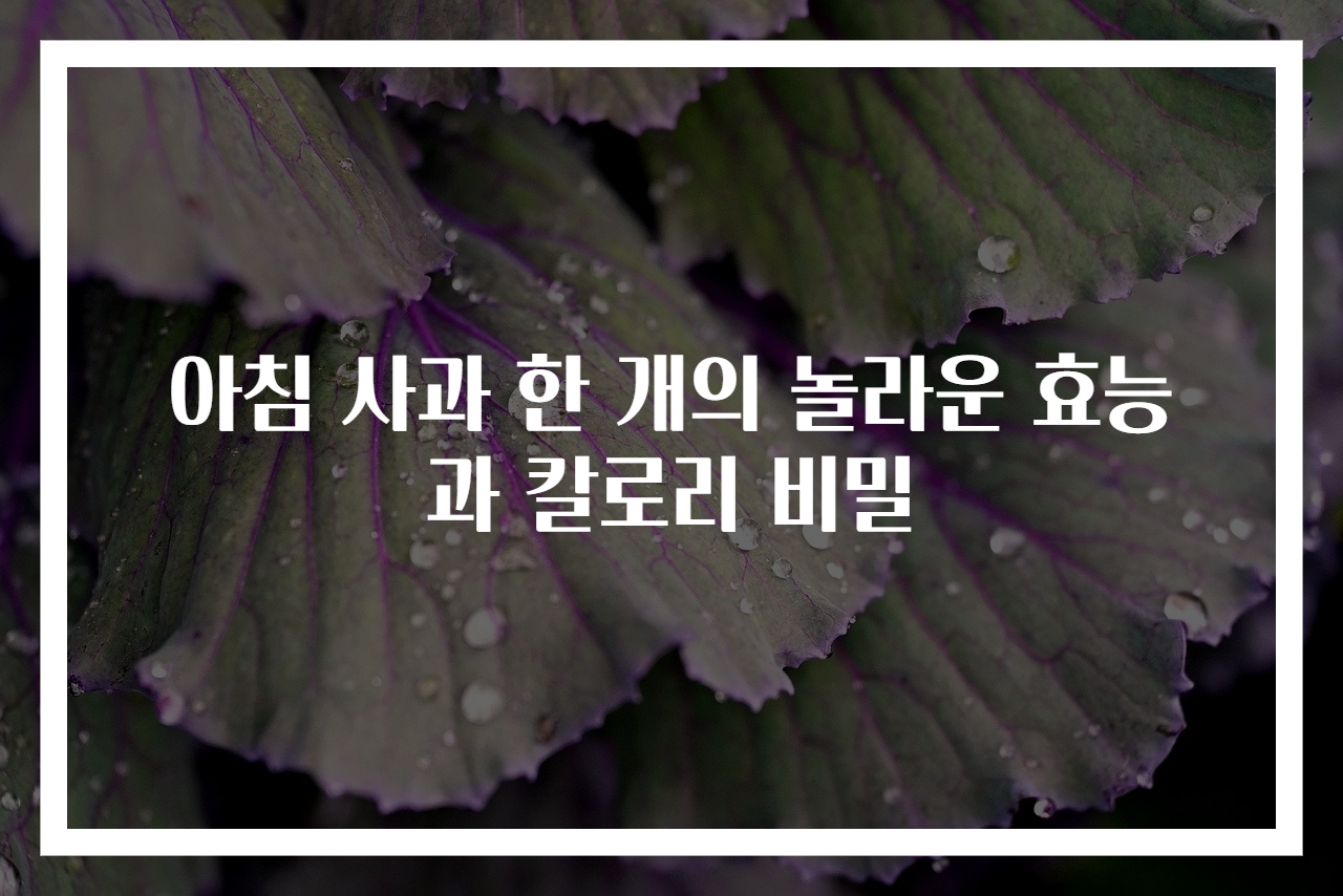아침 사과 한 개의 놀라운 효능과 칼로리 비밀