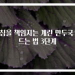 아침을 책임지는 계란 만두국 만드는 법 3단계