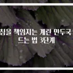 아침을 책임지는 계란 만두국 만드는 법 3단계