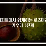 아파트에서 쉽게하는 로즈마리 키우기 3단계