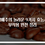 양배추의 놀라운 9가지 효능과 부작용 완전 정리