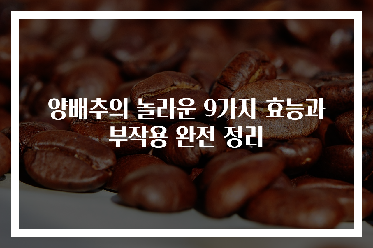 양배추의 놀라운 9가지 효능과 부작용 완전 정리
