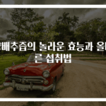 양배추즙의 놀라운 효능과 올바른 섭취법