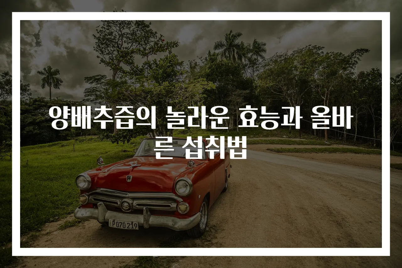 양배추즙의 놀라운 효능과 올바른 섭취법