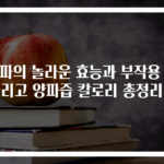 양파의 놀라운 효능과 부작용 그리고 양파즙 칼로리 총정리