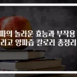 양파의 놀라운 효능과 부작용 그리고 양파즙 칼로리 총정리