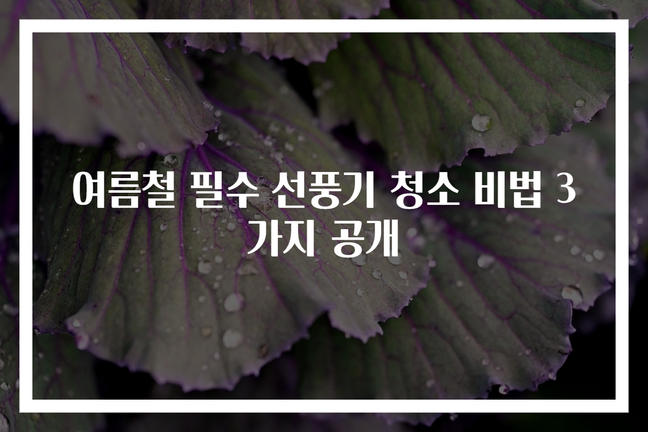 여름철 필수 선풍기 청소 비법 3가지 공개